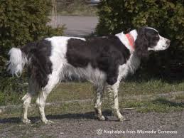 �����Ƒ��Ɍ}����O��